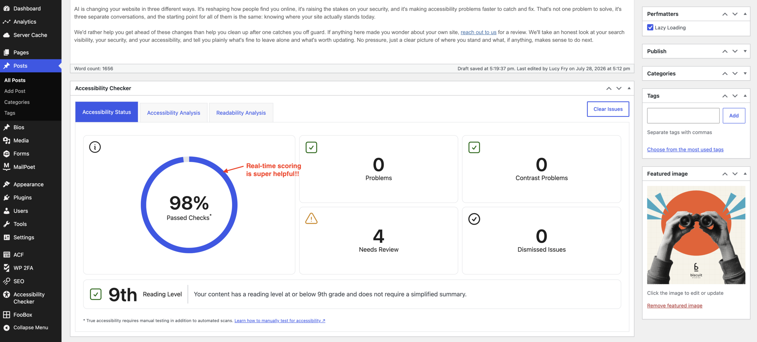 WordPress Accessibility Checker showing 98% passed checks score