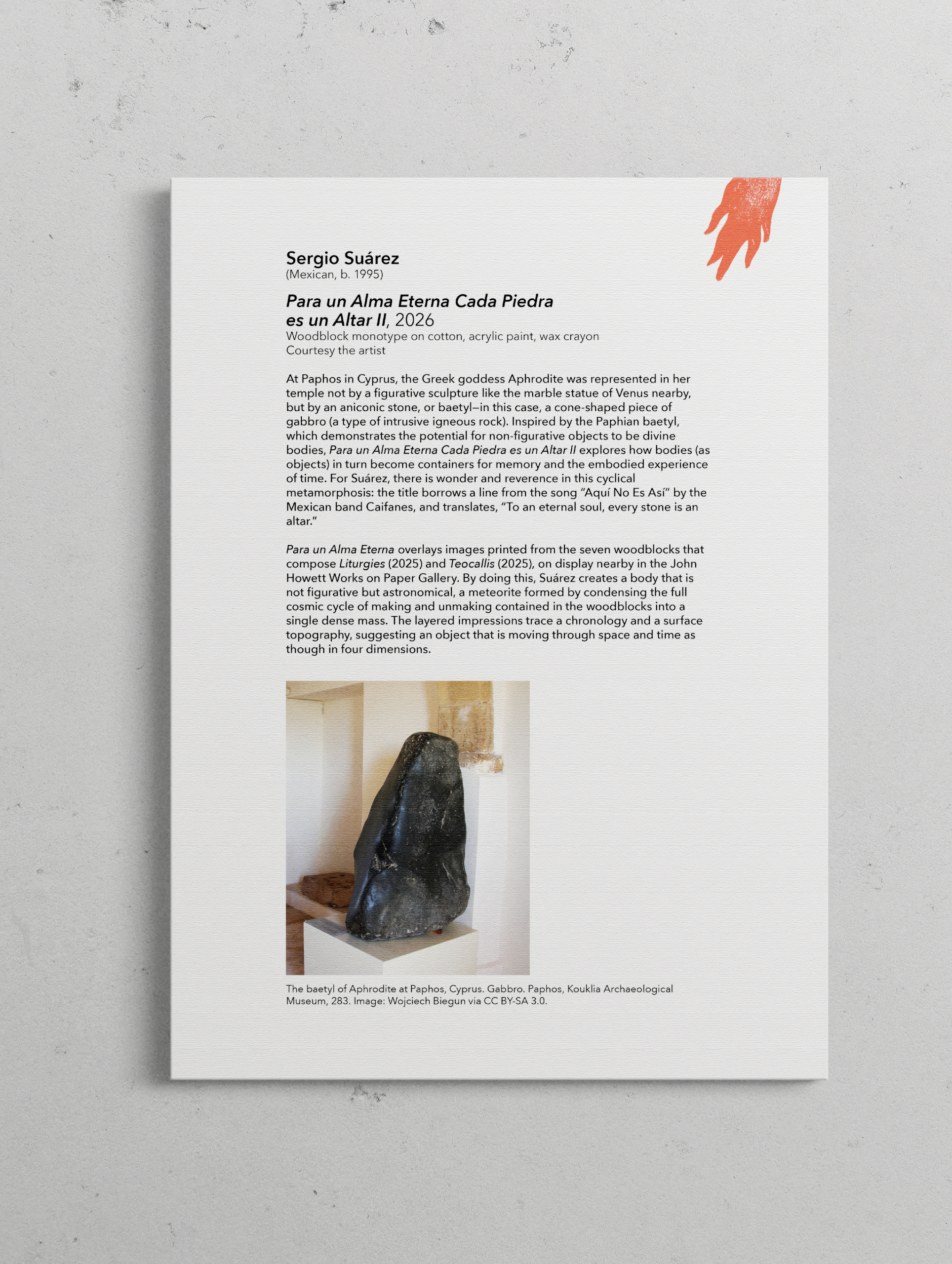 Museum wall label for Sergio Suárez artwork with stone image